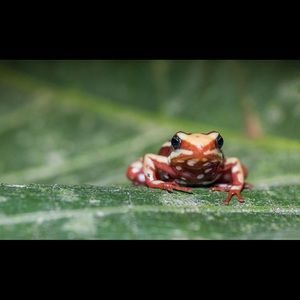 Meet your Posher, Jill